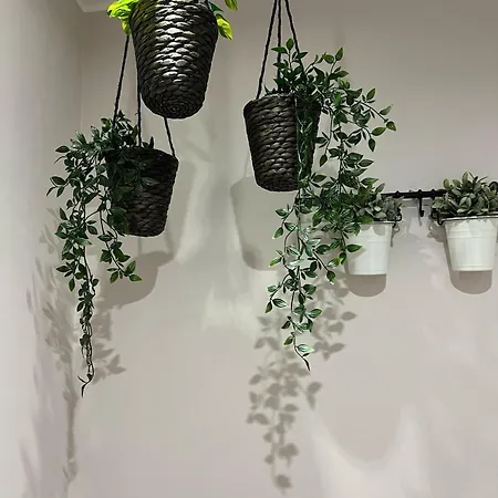 Giuseppe & Greta ベッド・アンド・ブレックファスト 3*